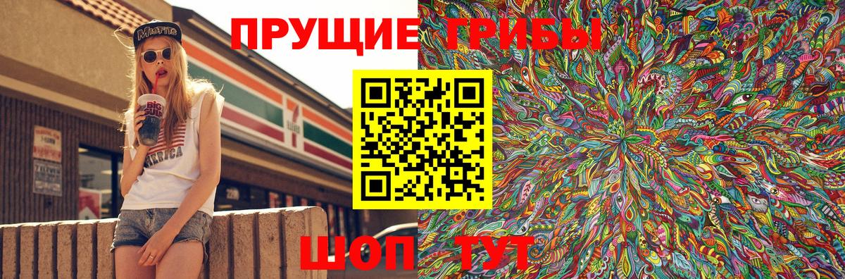 Галлюциногенные грибы прущие грибы  Вход с VPN  Скопин 